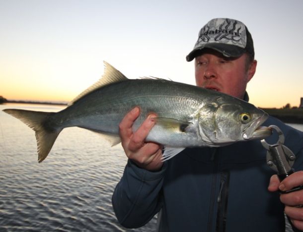 REPORT: Southerners invade in State of Origin lead up